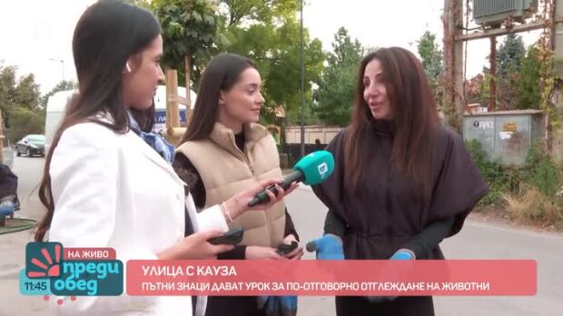 Снимка: Инициативата "Сканирай лапата" преобрази столична улица