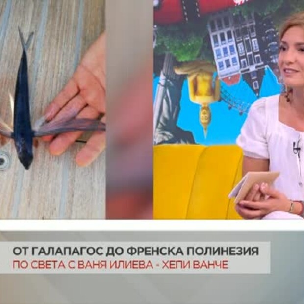 По света с Ваня Илиева -  Хепи Ванче: пътешествие в океана