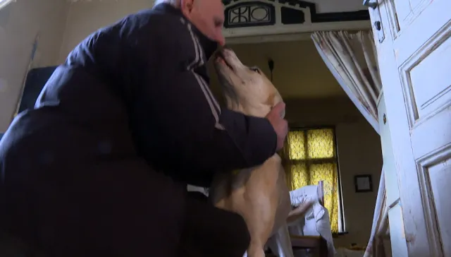 Неизвестни разбиха апартамент, за да изведат лаещо куче (видео)