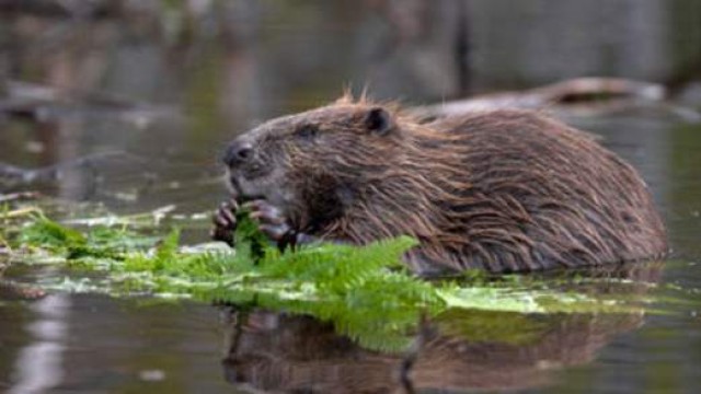 Те не подават заявления не пилеят парите на данъкоплатците и