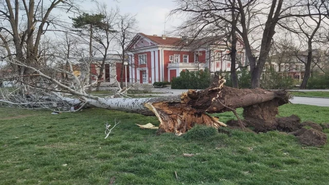 Ураганен вятър във Враца нанесе поражения предаде кореспондент на bTV Вятърът