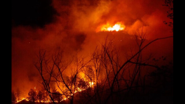 Горският пожар над село Илинденци е овладян съобщават от Югозападно