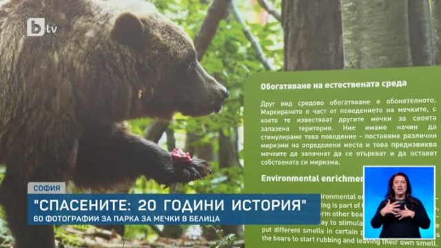 Паркът за мечки в Белица празнува 20-годишен юбилей.От официалното му