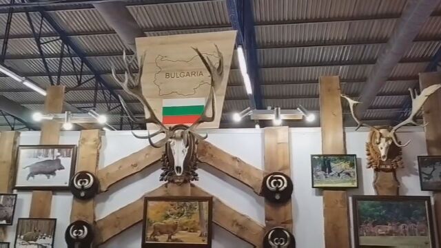 Всеки трети гръцки ловец идва на лов в България Причините