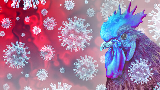 Жена в Китай стана първият човек починал от птичи грип