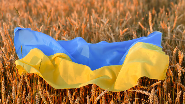 Полша ще допуска украинско зърно но само транзитно Украинските камиони