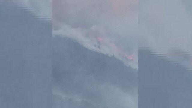 Горски пожар унищожи близо 1000 хектара на френско испанската граница в