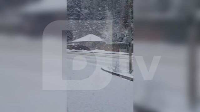 Сняг започна да натрупва в Пампорово С падането на температурите