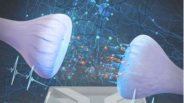 Учени създадоха изкуствен синапс който работи с помощта на вода
