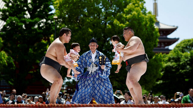100 ревящи бебета премериха сили в дохьото рингът за сумо