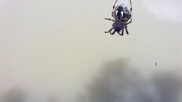 48 годишен мъж е починал на Пелопонес Предполага се че смъртта