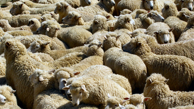  В хасковско село е издадена заповед с която се забранява