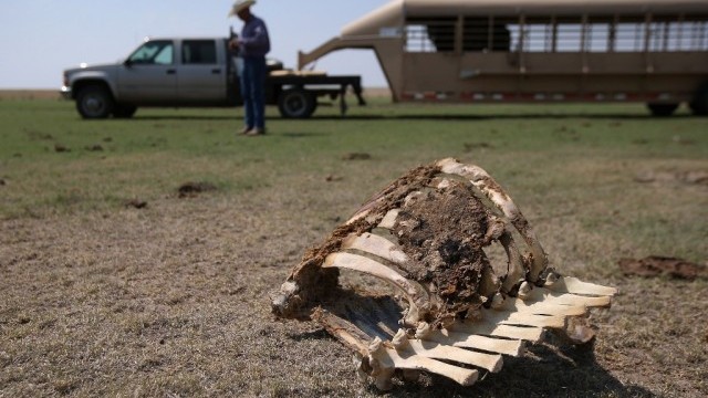  Голяма част от земите по света изсъхват което намалява способността на