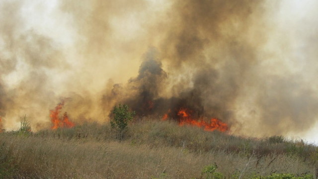 Сериозен пожар във вилната зона между Игнатиево и село Доброглед