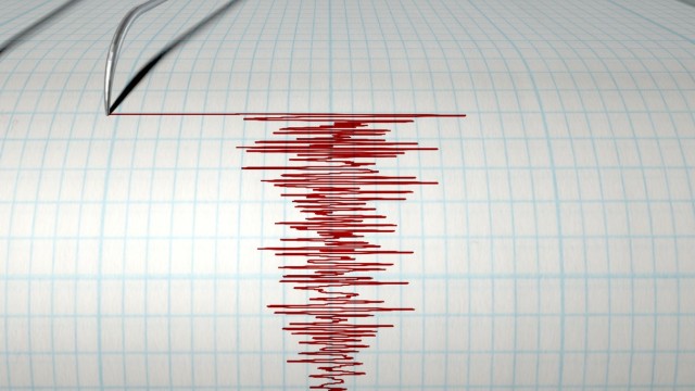 Земетресение с магнитуд 4 2 е регистрирано в 08 28 часа в