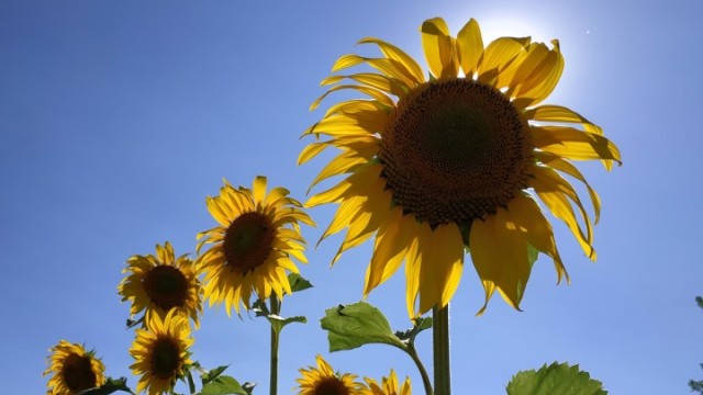 Температурите днес ще се повишат и максималните ще са предимно