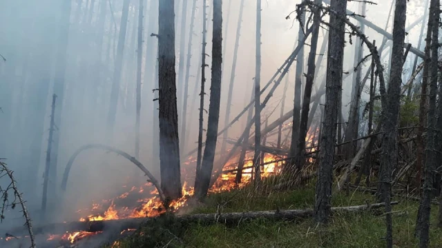 Горският пожар над Югово