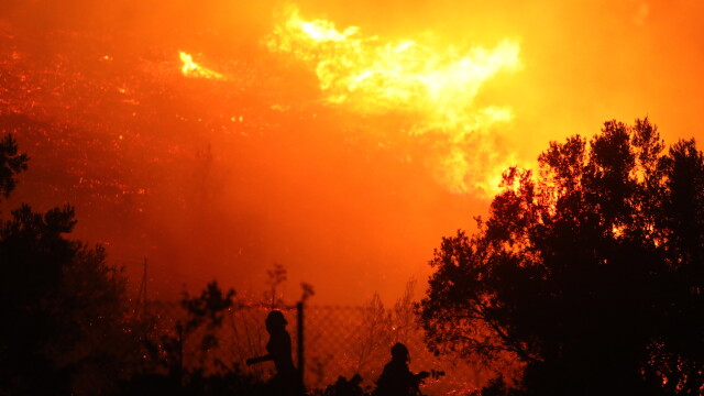 Проф. Рачев за пожарите в Европа: Все повече човекът унищожава гората