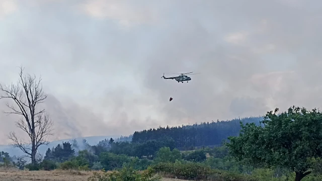 Пожар край Елшица