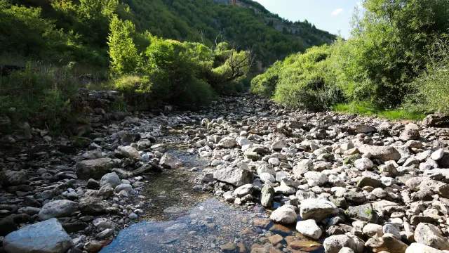 Водна криза в село Искрец