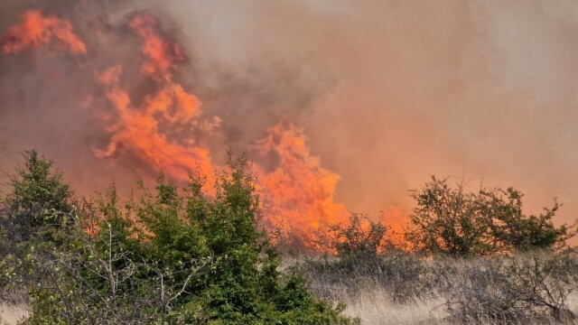 Пожар тръгна от голяма птицеферма край Враца между селата