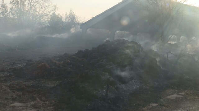 Няма загинали патици при пожара в голяма птицеферма край Враца