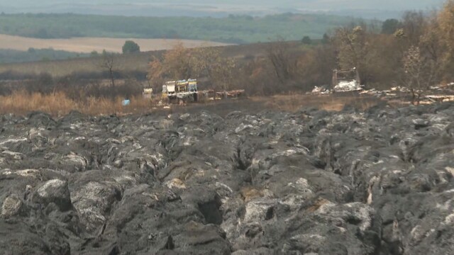 Пожарът край врачанските села Мраморен и Чирен изпепели 300 кошера