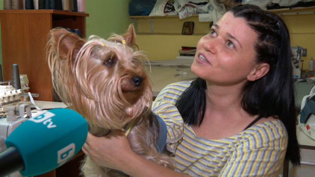 Днес отбелязваме Световния ден на кучето Емилия Стаева и Ера