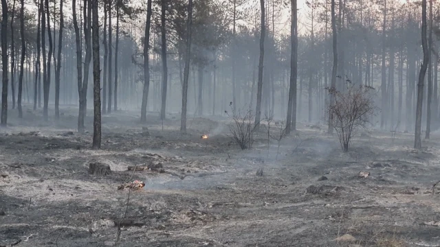 Близо 3 хиляди декара горят край свиленградските села Левка и