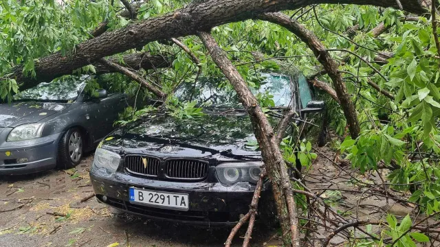 Проливен дъжд с градушка удари Симеоновград