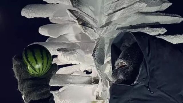Руски учени успяха да отгледат дини на мразовитата Антарктида  Там в
