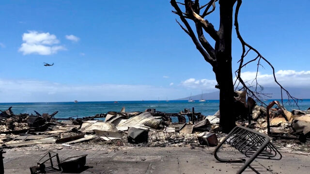 Продължава да расте броят на жертвите при пожара на хавайския