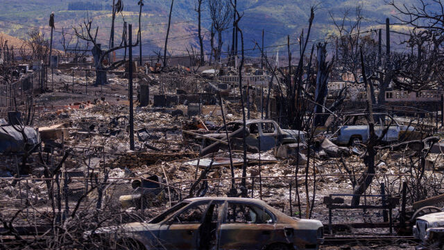 99 са вече жертвите на ужасните пожари на хавайския остров