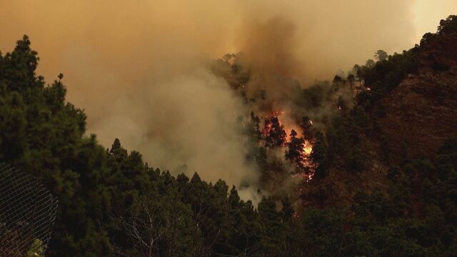 Горски пожар на испанския остров Тенерифе се разпространява в северната