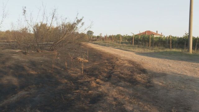 Големи пожари обхванаха Югоизточна България Бургаското село Кубадин е в