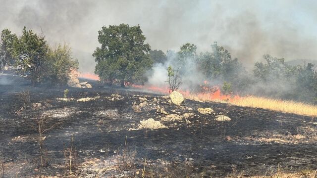 Пожар в гориста местност между Казанлък и Мъглиж По първоначална