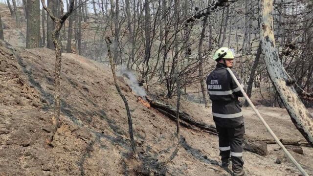 Продължава борбата с големия горски пожар в гръцкия национален парк