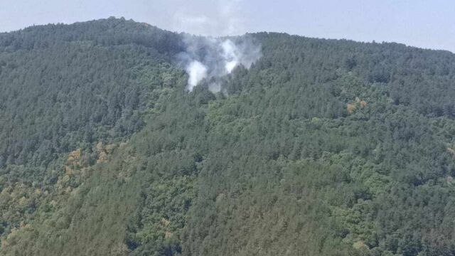 Пожарът край връх Баба е овладян  съобщиха от пожарната в Пловдив Три