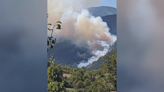 Изгорелият район заради пожара край родопските села Хвойна и Забърдо