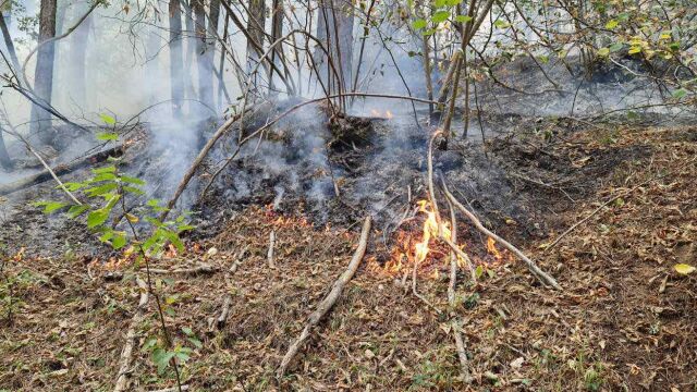 Разраства се горският пожар в Родопите който бушува втори ден
