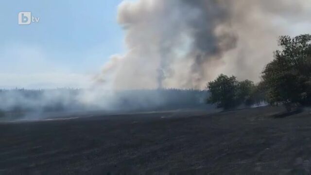 Голям горски пожар край Панагюрище Огънят е тръгнал от запалени