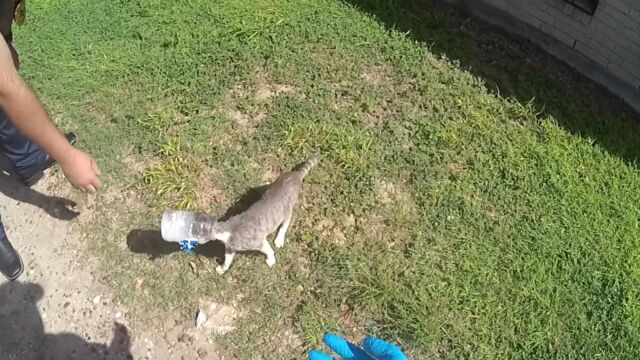 Служители на реда от полицейското управление Палмхърст в американския щат