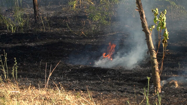 Пожар избухна до жилищни блокове в район Тракия в Пловдив