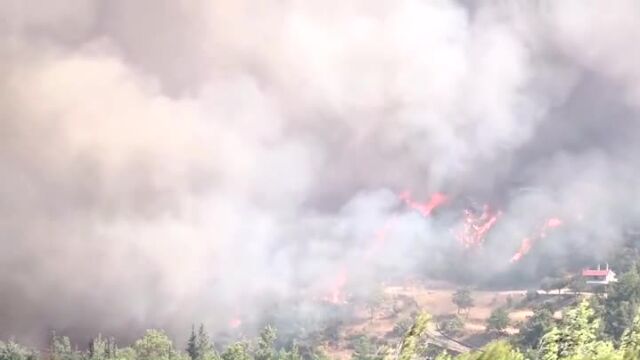 Ситуацията с пожарите в съседна Гърция е критична Пламъците достигнаха