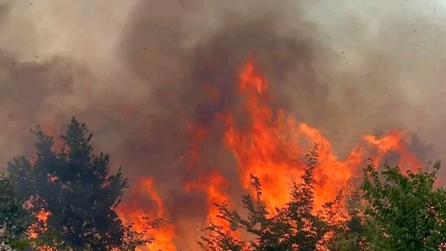 Голям пожар гори във вилна зона Дондуково в община Брезово