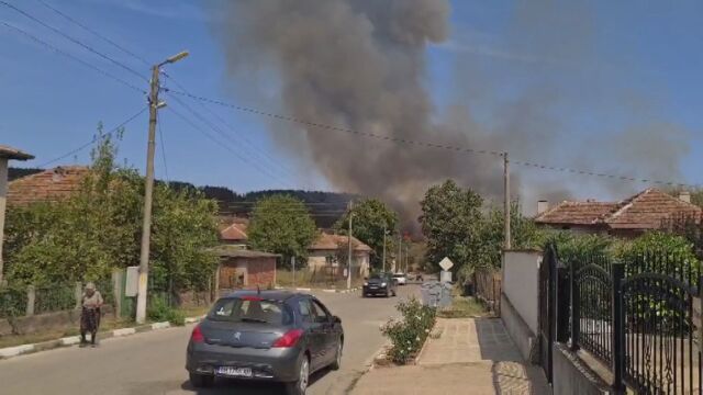 Пожар е възникнал в борова гора във видинското село Гюргич