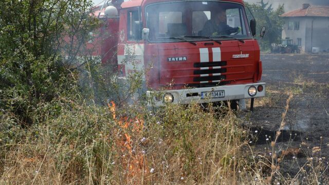 Пожар гори в района на село Каменар над Варна съобщи