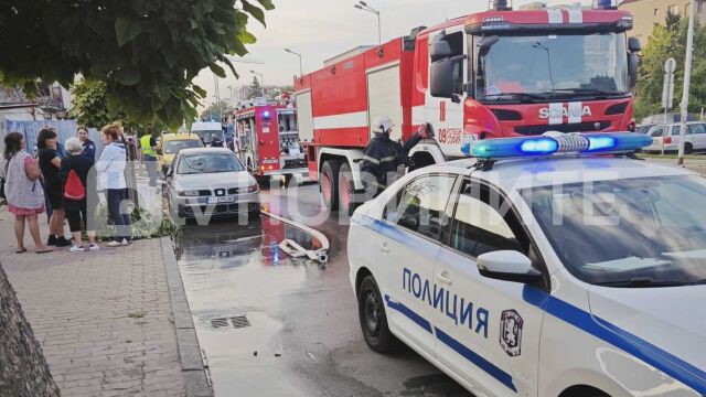 Пожар възникна на столичния булевард Ломско шосе Снимка Десислава Димова Парцелът