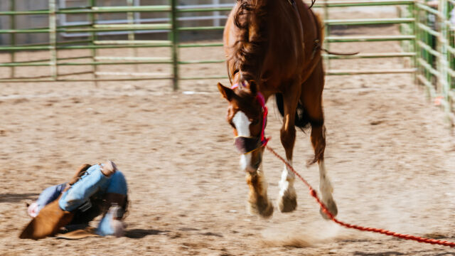 Кон е влачил мъж в град Левски съобщиха от ОДМВР Плевен  Инцидентът