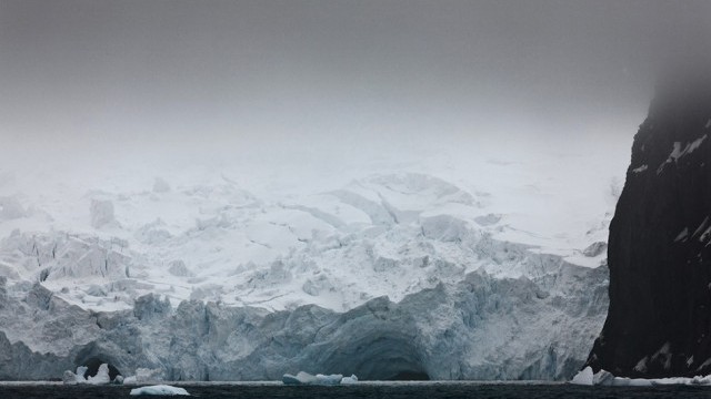  Учени откриха признаци за гигантски вируси в гренландската ледена покривка
